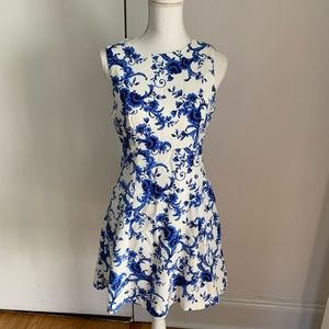 Blue Flower Dress